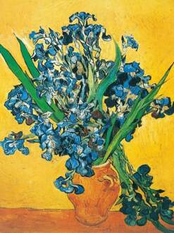 Vincent Van Gogh - Les Iris Kunstdruk 60x80cm