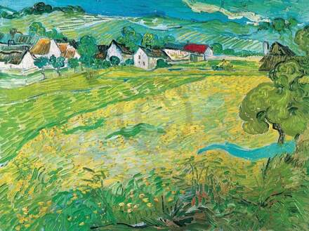 Vincent Van Gogh - Sonnige Wiese Bei Auvers, 1890 Kunstdruk 80x60cm