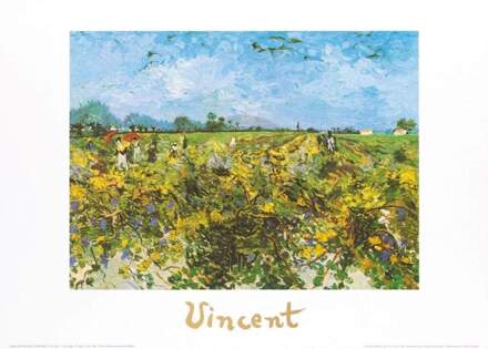 Vincent Van Gogh - The Green Vineyard Kunstdruk 70x50cm