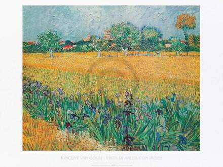 Vincent Van Gogh - Vista Di Arles Con Irises Kunstdruk 80x60cm