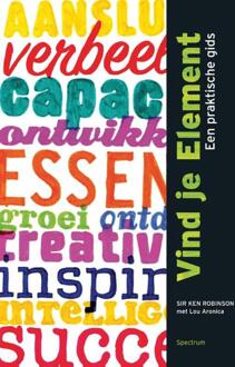 Vind je element - Boek Ken Robinson (9000345375)