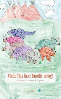 Vindt Trix haar familie terug? -  Lize Buizer (ISBN: 9789465281339)