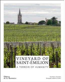 Vineyard Of Saint-Emilion - Hernandez, Florence