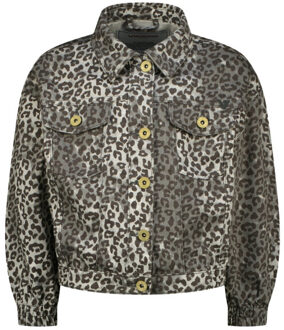 Vingino Jasje ss26kg160059 - maat 164 Grijs