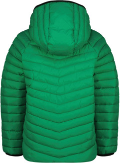 Vingino jongens tussenjas Groen - 128