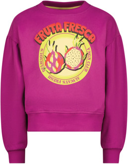 Vingino meisjes sweater Paars - 128