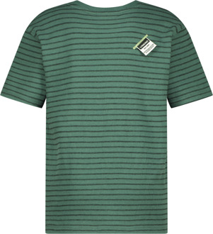 Vingino T-Shirt Hiweko Biome green - 140/10,152/12,164/14,176/16,92/2,104/4,116/6,128/8