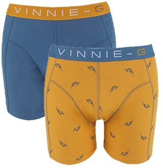 Vinnie-G Boys boxershorts Wakeboard Blue - Print 2-Pack