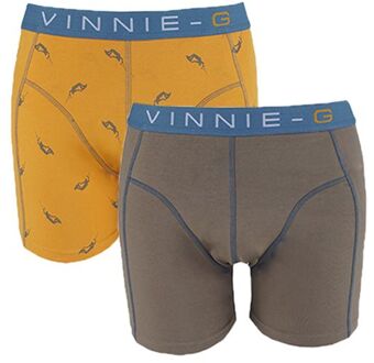 Vinnie-G Boys kinder boxershorts Wakeboard Grey - Print 2-Pack-164/170