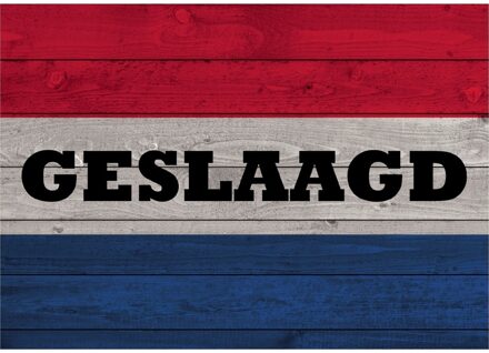 Vintage geslaagd Nederlandse vlag op hout poster 84 cm