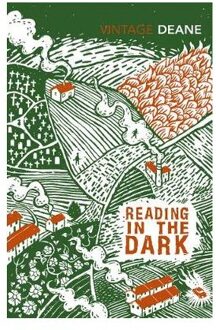 Vintage Uk Reading in the Dark