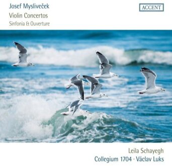 Violin Concertos - Sinfonia & Overt