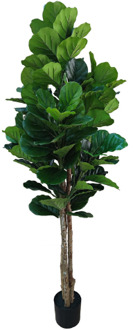 Vioolbladplant kunstplant 185 cm - Stijlvolle vioolbladplant Groen