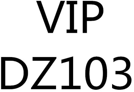 VIP custom Jewelry Set bracelet German DZ103