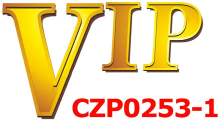 VIP CZP0253-1 Custom Make Photos Rotating Double-sided Medallions Pendant Necklace AAA Cubic Zircon For Men's Hip Hop Jewelry