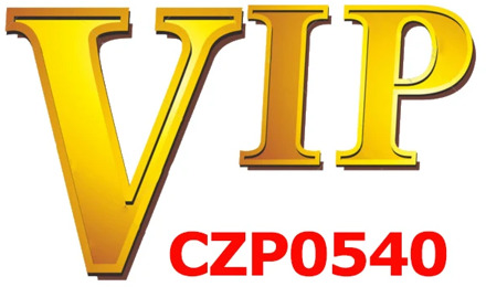 VIP Heart Custom Made Picture Memory Medallions Solid Pendant Necklace Purple Pink Cubic Zircon For Mens Hip Hop Jewelry