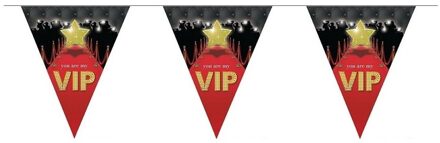 VIP vlaggenlijn 5 meter - Feestversiering vlaggetjes - Vlaggenlijnen Multikleur