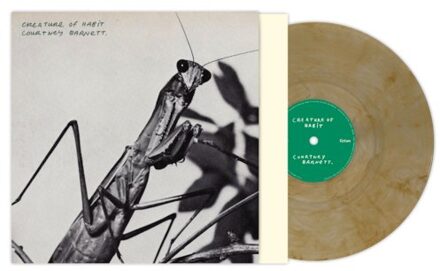 Virgin Creature Of Habit - Courtney Barnett