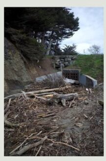 Virgin Five Easy Hot Dogs - Mac Demarco