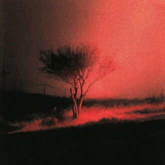 Virgin Piss In The Wind - Joji