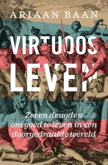 Virtuoos leven - Ariaan Baan - ebook