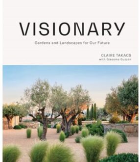 Visionary - Claire Takacs