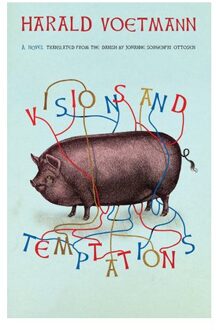 Visions And Temptations - Harald Voetmann