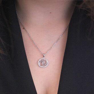 Vissen Zodiac Hangers - Zilver en Kristal