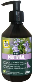 VITALstyle MultiVital - Immuunsysteem - 265 gram