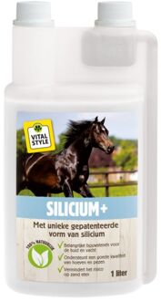 VITALstyle Silicium - 1 L - flacon