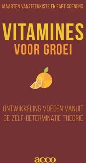 Vitamines voor groei - Boek Maarten Vansteenkiste (9462922861)