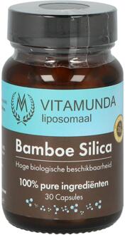 Vitamunda Liposomale Bamboe Silica