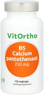 Vitortho B5 Calcium pantothenaat 250 mg