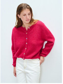 Vitow vesten vito19ee26 - maat L Roze