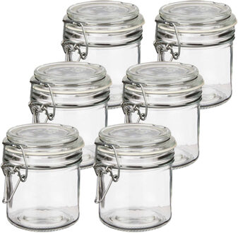Vivalto Voorraadpotten/bewaarpotten - 10x - Tarro - 250 ml - glas - met beugelsluiting - D11 x H10 cm