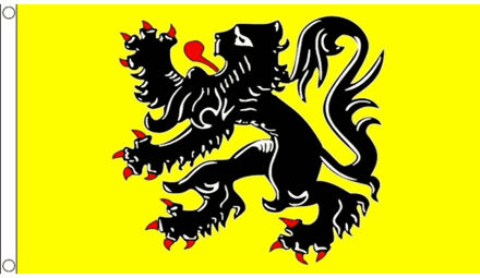 Vlaamse gemeenschap vlag 90 x 150 cm