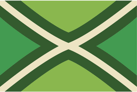 Vlag Achterhoek - 90 x 150 cm - Achterhoekse Vlag