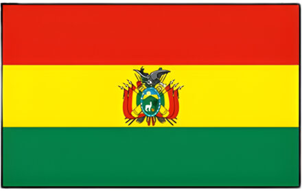 Vlag Bolivia 90 x 150 cm feestartikelen - Bolivia landen thema supporter/fan decoratie artikelen