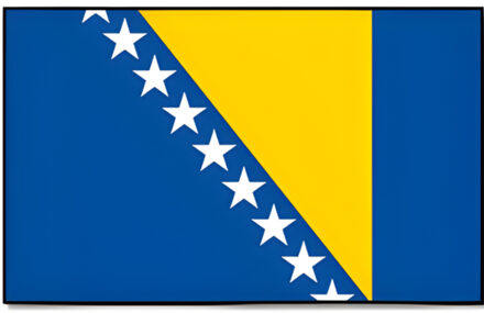Vlag Bosnie en Herzegovina 90 x 150 cm feestartikelen