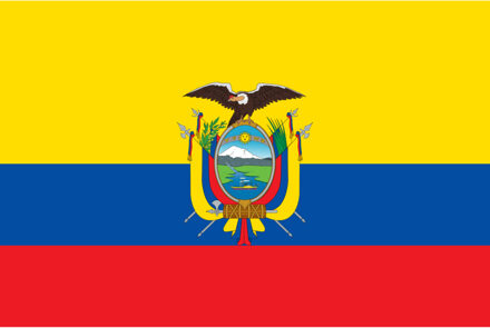 Vlag Ecuador 90 x 150 cm feestartikelen
