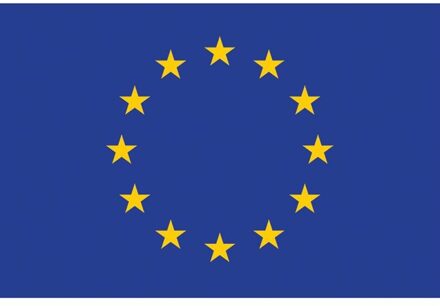 Vlag Europa 90 x 150cm Multikleur - Print