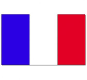 Vlag Frankrijk 90 x 150 cm feestartikelen Multi