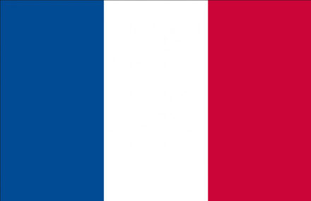 Vlag Frankrijk - 90 x 150 cm - Franse Vlag - France Multi