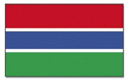 Vlag Gambia 90 x 150 cm feestartikelen -Gambia landen thema supporter/fan decoratie artikelen