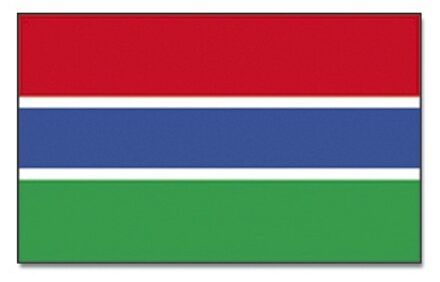 Vlag Gambia van 90 x 150 cm - feestartikelen - Landen thema supporters Multi