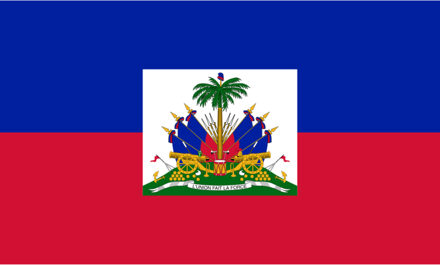 Vlag Haiti 90 x 150 cm feestartikelen - Haiti landen thema supporter/fan decoratie artikelen