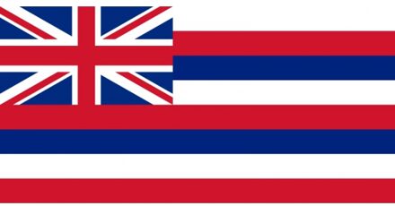 Vlag Hawaii met ringen 90 x 150 cm