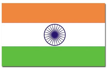 Vlag India 90 x 150 cm feestartikelen - India landen thema supporter/fan decoratie artikelen