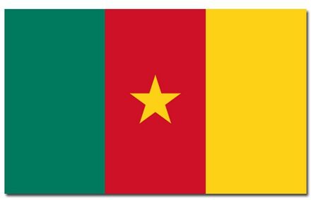 Vlag Kameroen van 90 x 150 cm - feestartikelen - Landen thema supporters