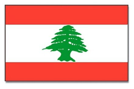 Vlag Libanon van 90 x 150 cm - feestartikelen - Landen thema supporters Multi